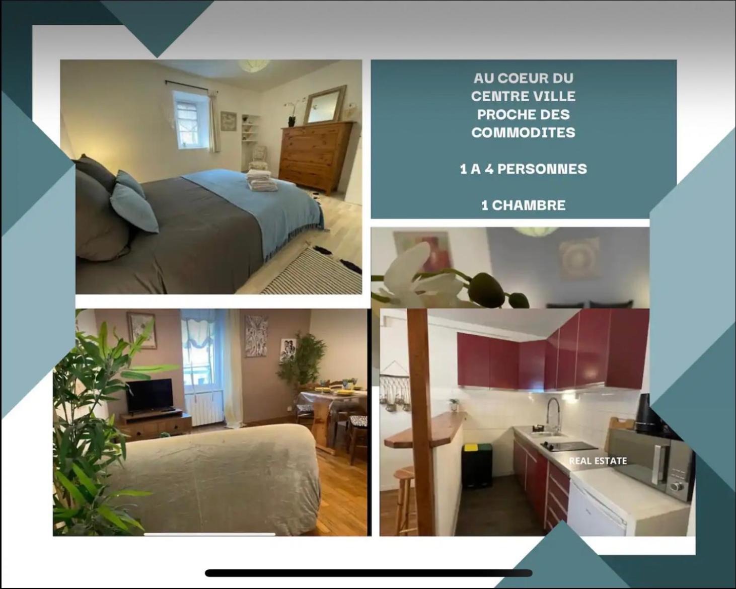 Appartement Cosy Hyper Centre Châteauroux Eksteriør billede