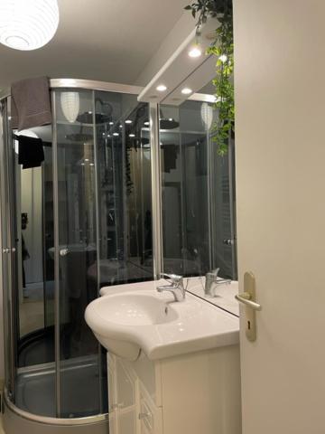 Appartement Cosy Hyper Centre Châteauroux Eksteriør billede