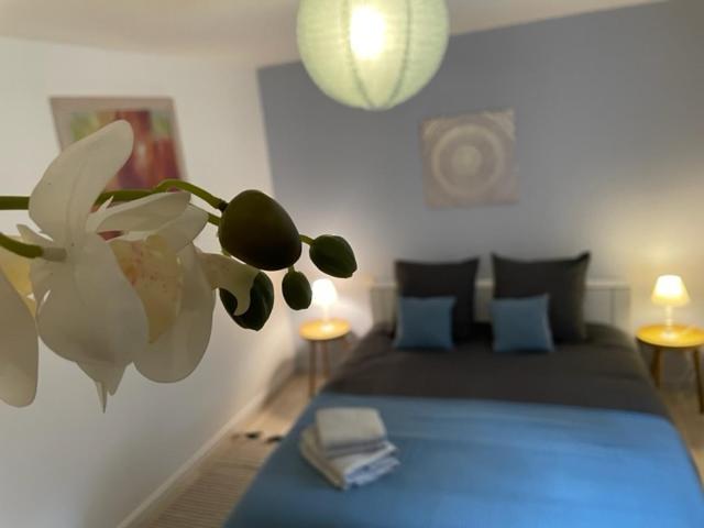 Appartement Cosy Hyper Centre Châteauroux Eksteriør billede